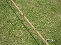 s_PICT0029s.png